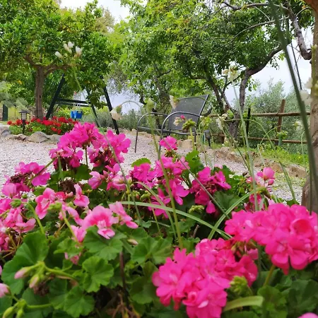 Casa rural El Bonito *